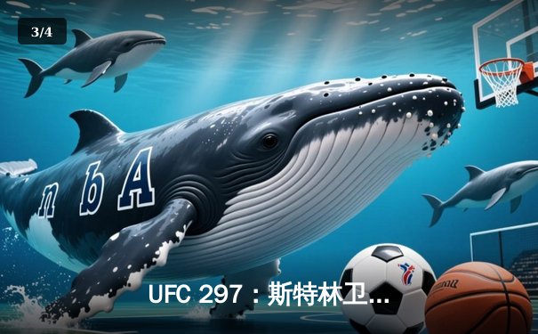 UFC 297：斯特林卫冕战惊心动魄，奥马利TKO终结再掀格斗热潮 - 3